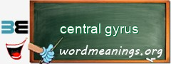 WordMeaning blackboard for central gyrus